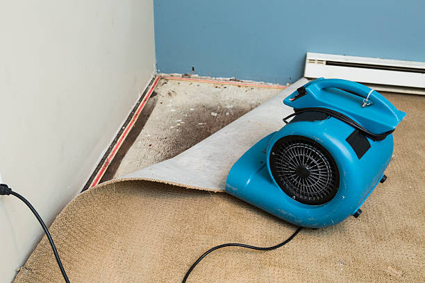 Best Water damage restoration near me  in Hunter, TN