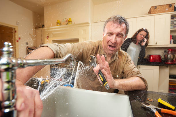 Best Flood damage cleanup  in Hunter, TN